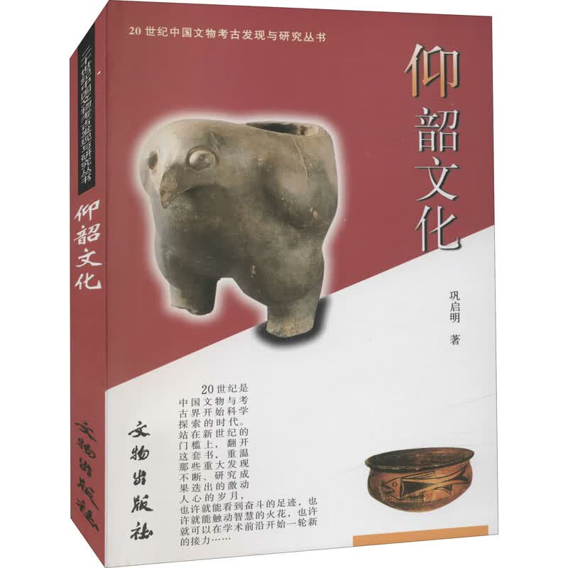 正版 仰韶文化 巩启明 历史/文物考古