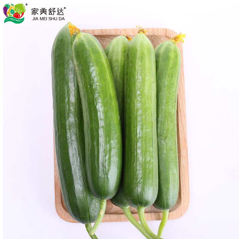 家美舒达山东农特产 水果黄瓜 1kg 小黄瓜  健康轻食 新鲜蔬菜