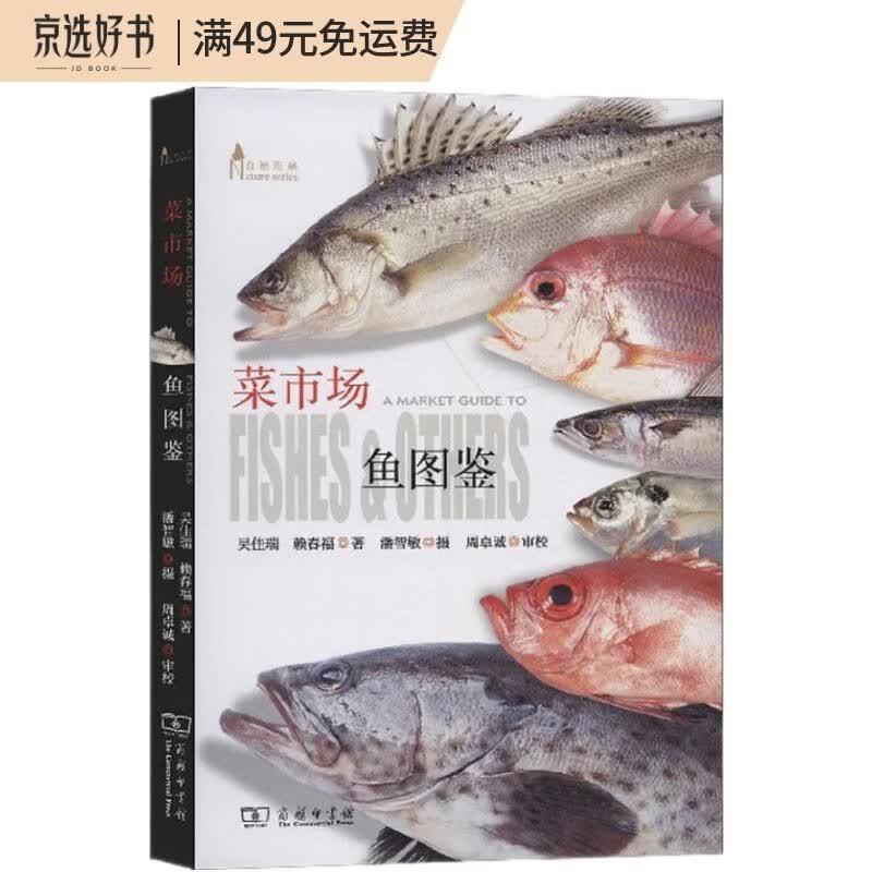 菜市场鱼图鉴/自然观察丛书