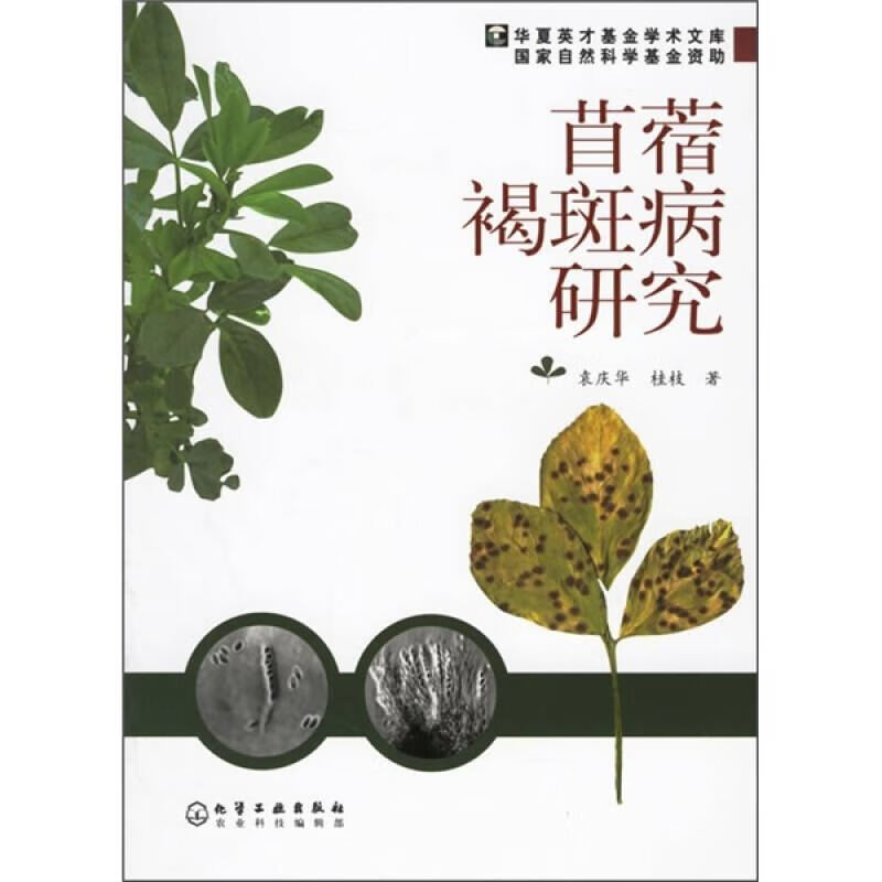 【正版书】苜蓿褐斑病研究