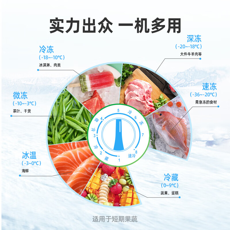 容声（Ronshen） 202升小型冰柜家用冷藏冷冻转换单温冷柜 一级能效 母婴母乳卧式冰箱BD/BC-202MS