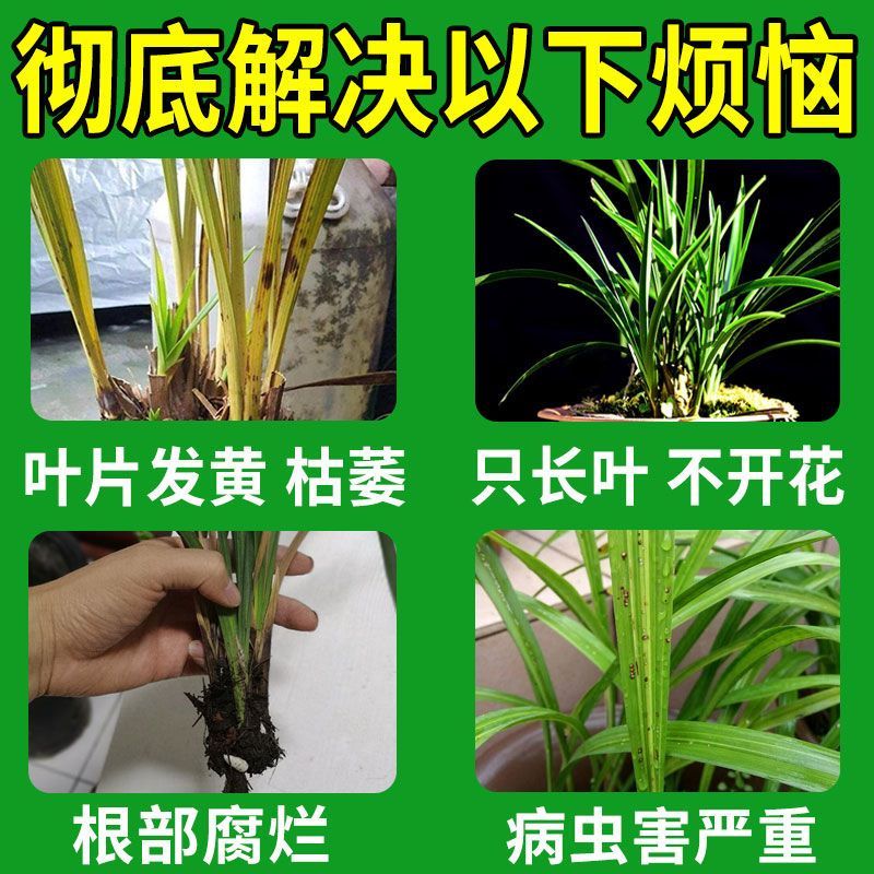 兰花强力爆芽素爆芽王兰花营养液直接喷生根壮根催芽爆芽增肥专用 兰花爆芽营养液 五瓶装