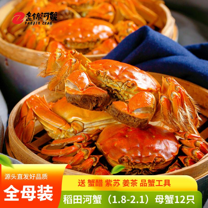 【活蟹】 盘锦河蟹（1.8-2.1）母蟹12只送蟹礼包 螃蟹