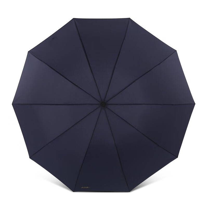 天堂伞强效拒水雨伞防风加固十骨大雨伞品牌口碑如何？使用体验分享？