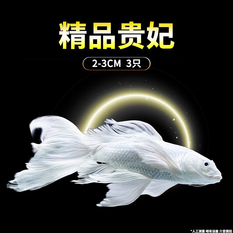 查看水族活体历史价格的App|水族活体价格走势