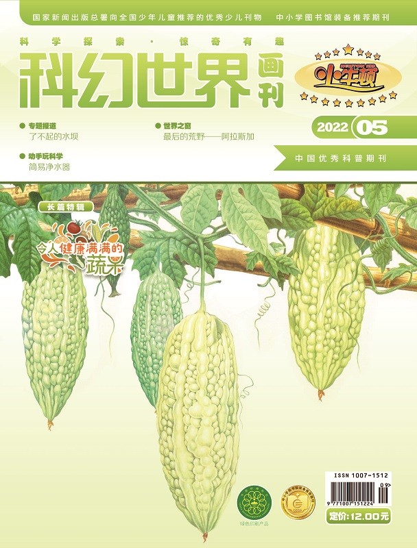 《科幻世界画刊》（小牛顿）2022年5期|动手做简易净水器+了不起的水坝+最后的荒野阿拉斯加+东汉名医华佗 少儿科普 百科知识
