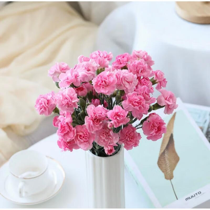 粉色多头康乃馨18支送保鲜剂