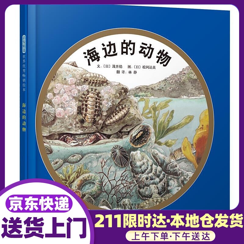 启发精选世界绘本:海边的动物 浅井稔, 松冈达英, 林静 河北教育出版社