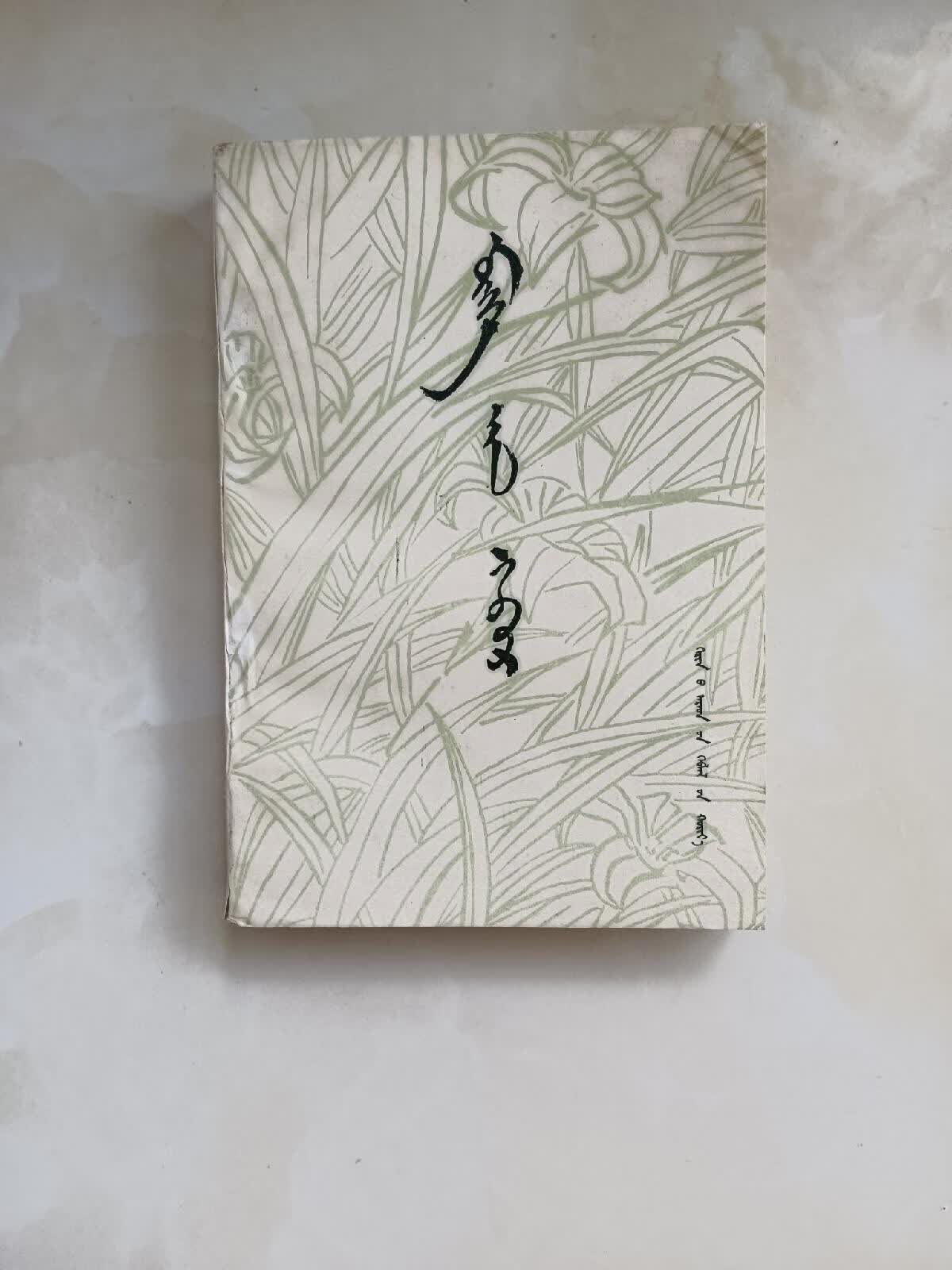 [二手9成新] 永恒的春天蒙文