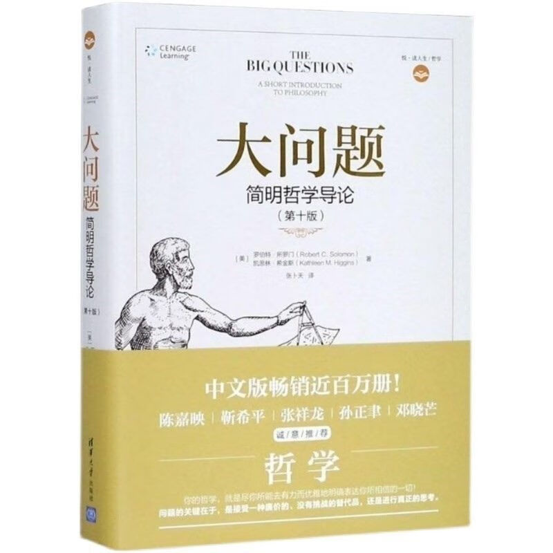 【现货速发】大问题 简明导论第十版罗伯特 所罗门 凯思林