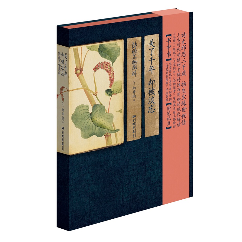 正版预售 美了千年，却被淡忘：诗经名物图解 文学书籍