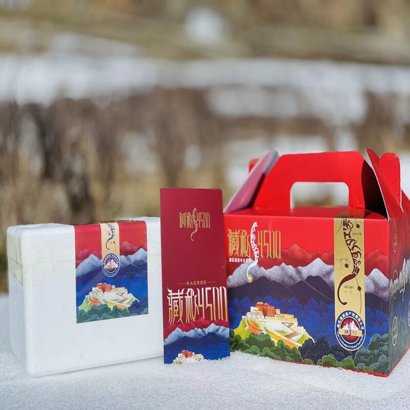 【藏秘4500加查新鲜冬虫夏草】觅山源 正宗西藏加查头茬鲜草 高海拔