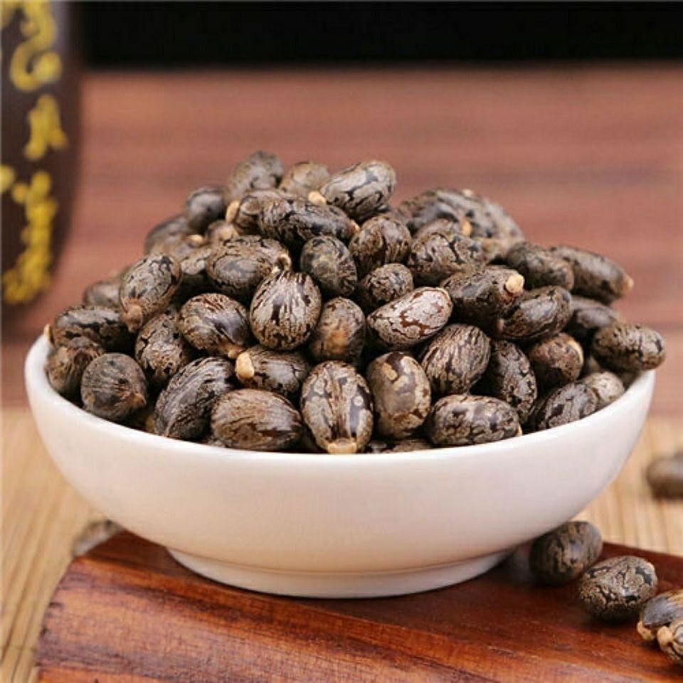 蓖麻子蓖麻籽红大中药材蓖麻仁蓖麻种子麻子的规格新货 10克试用一点