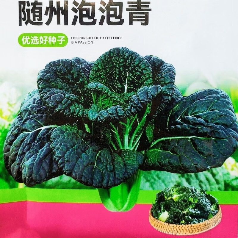 耐寒高产随州泡泡青种子皱叶黑白菜 黑油白菜种子 阳台种盆栽四季