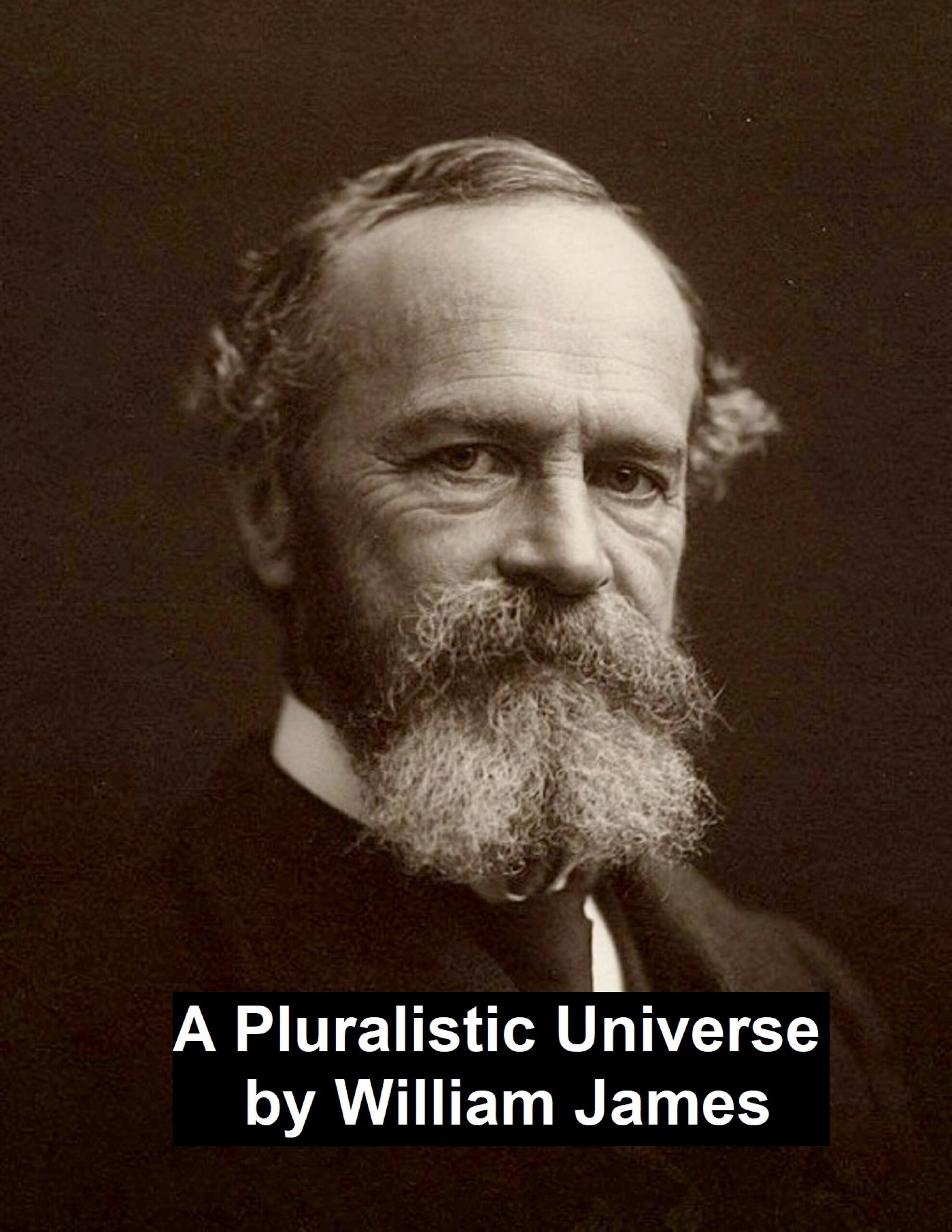 a pluralistic universe