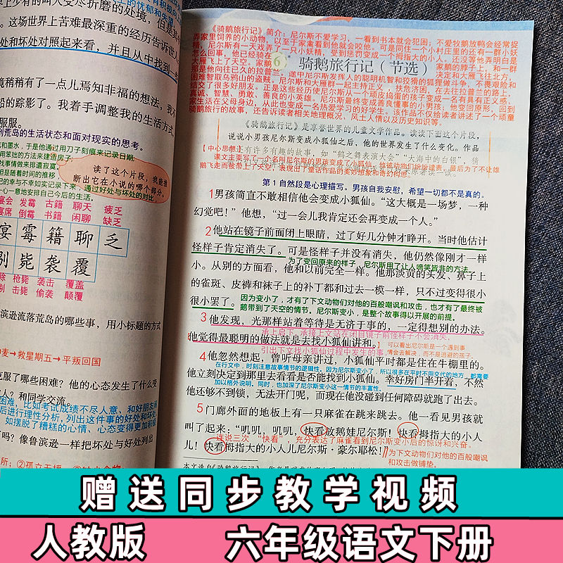 【抖音同款】2023适用小学语文课堂笔记六6年级下册部编人教版小学6六