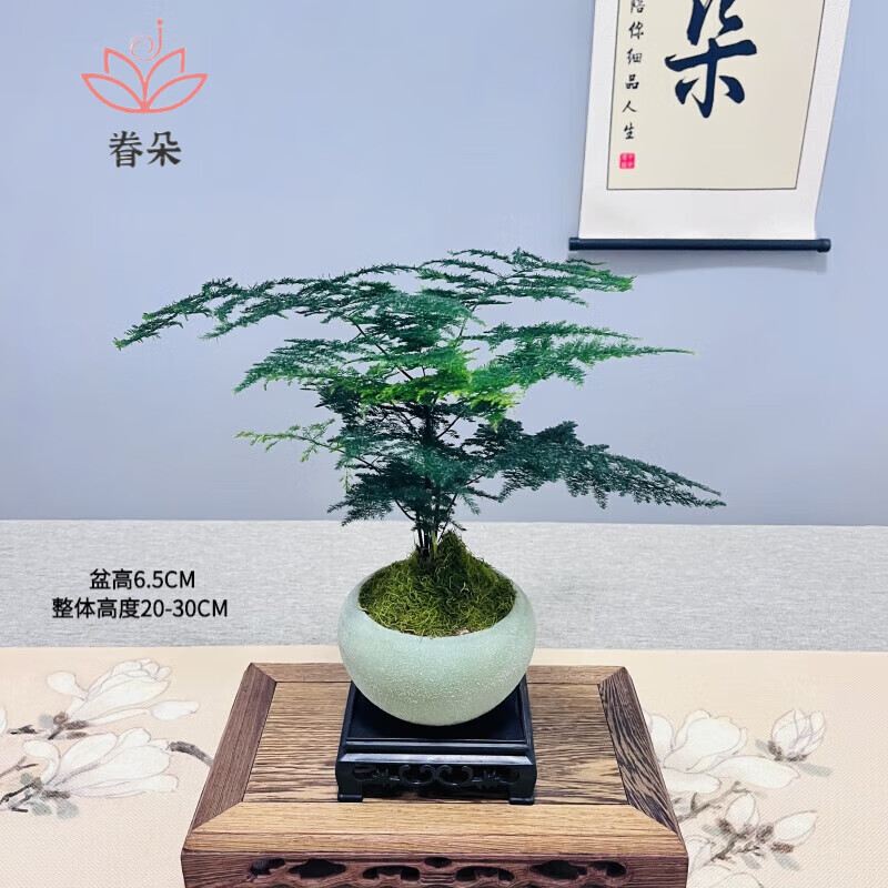 怎么看京东绿植盆栽商品的历史价格|绿植盆栽价格走势图
