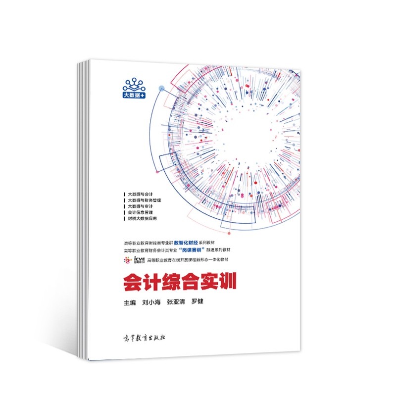 会计综合实训