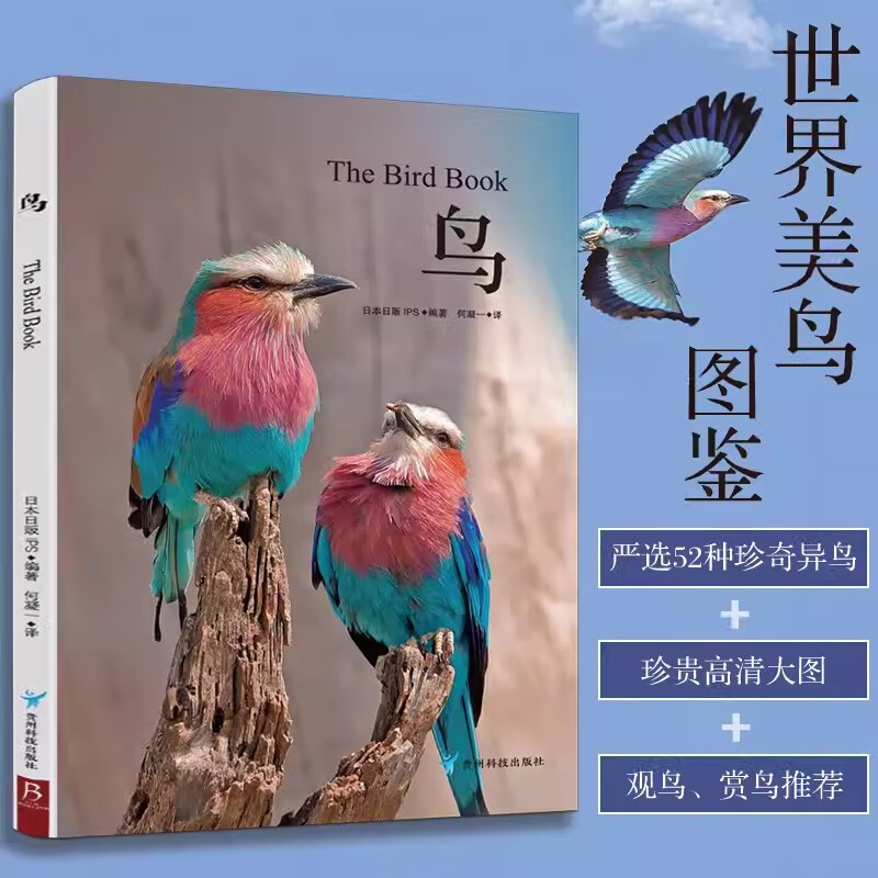 照片鉴赏动物图鉴书 观鸟指南用书 珍惜森林草原野鸟形态鸟类图鉴野生