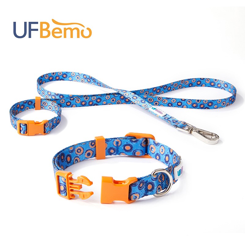 bemo 宠物狗链狗绳牵引绳 拉布拉多小大中型犬遛狗绳子 两件套星空