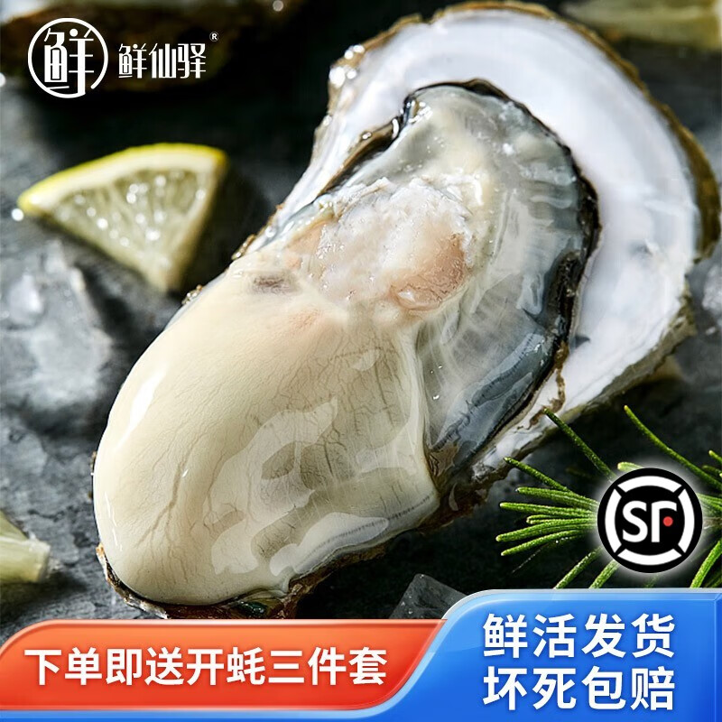 鲜仙驿乳山生蚝 鲜活即食烧烤食材海鲜贝类 牡蛎海蛎子 净重4.5斤普箱装 性价比2XL (约16~20个)