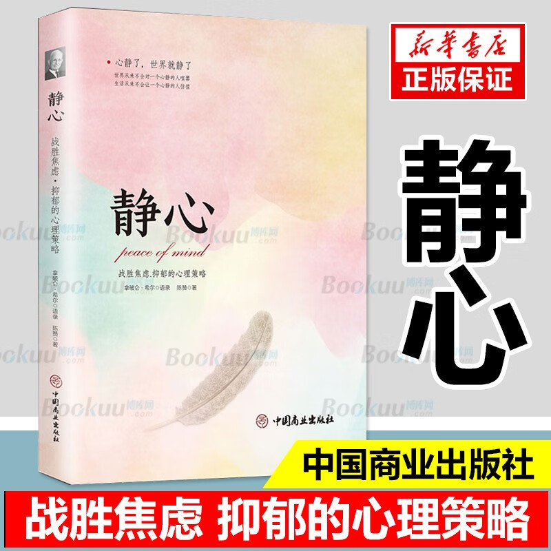 静心 书