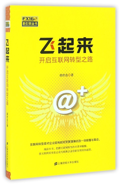 飞起来(开启互联网转型之路)/FX168新引擎丛书