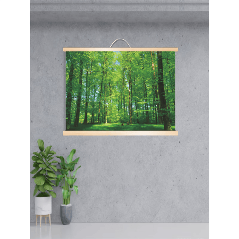 实木挂轴 高40cm宽60cm画芯尺寸