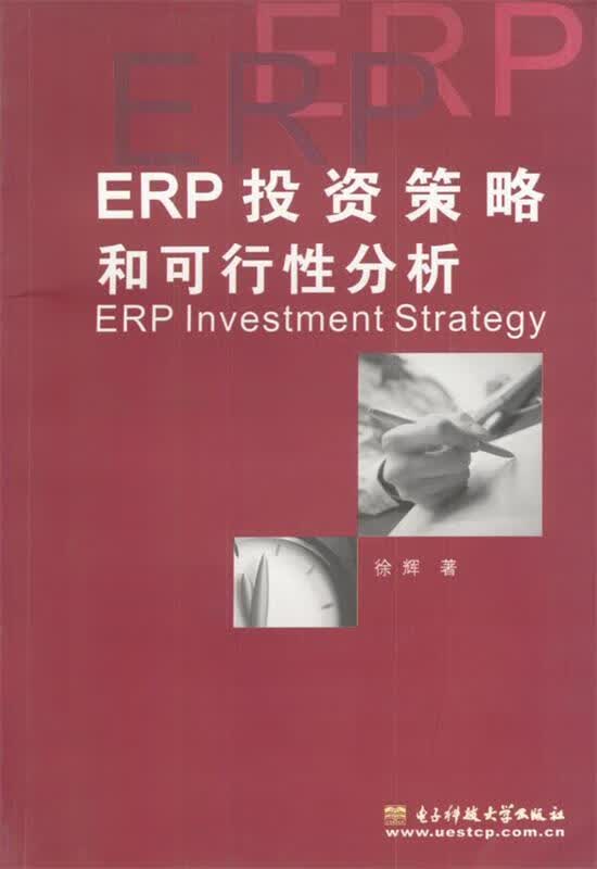 ERP投资策略和可行性分析 徐辉【正版书】