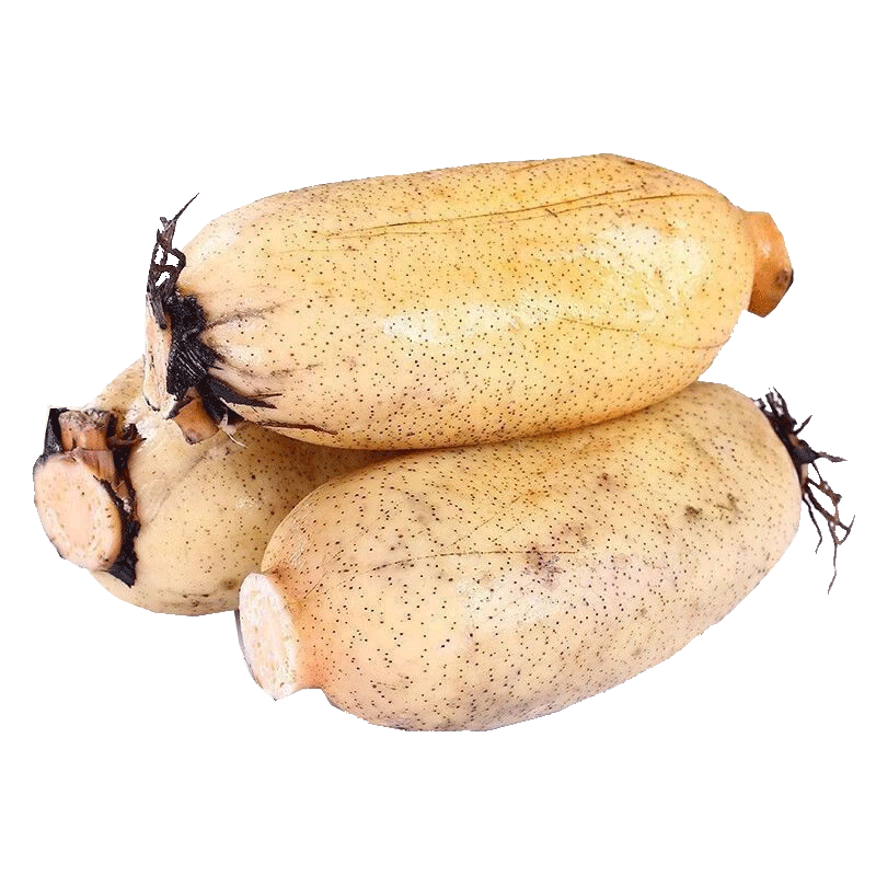 pLuS��Ա:����ζ�����ź5�� ���ʴ���ź ������������ �����߲� Դͷֱ��