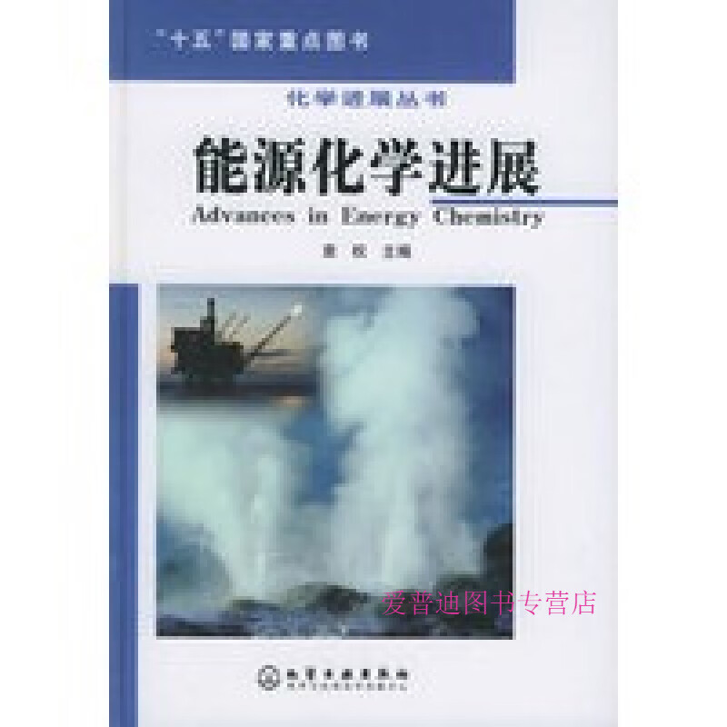 能源化学进展 袁权【正版好书，下单速发】