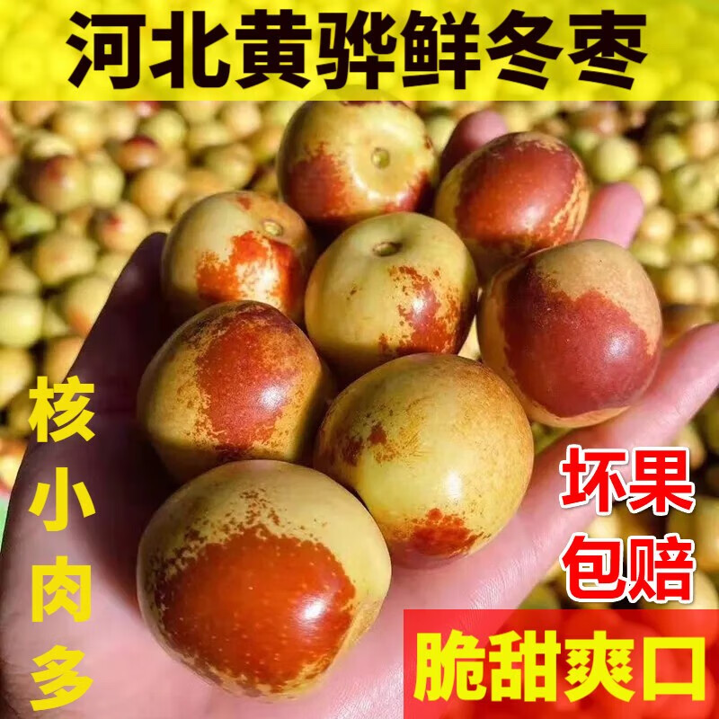 河北黄骅鲜冬枣 沧州嘎嘣脆鲜枣青红枣脆甜冬枣当季现摘孕妇新鲜水果
