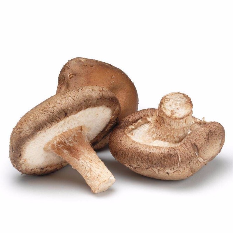 西峡新鲜湿香菇 山珍菌菇蘑菇 新鲜蔬菜 1000g装