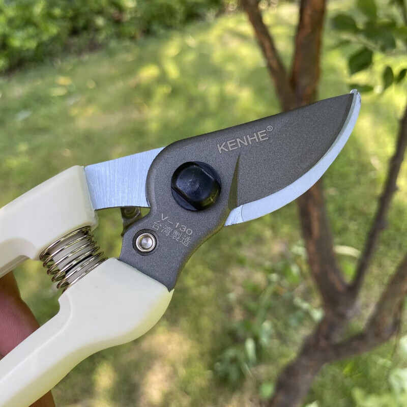 花姬 剪130t修枝剪果树剪刀家用手剪修花剪子粗枝剪园林剪刀 肯赫130t