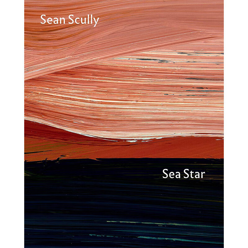star: sean scully at the national gallery,海星:英文原版图书籍