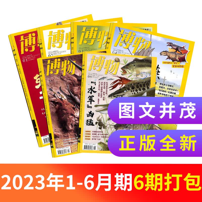 【半年订阅】包邮 博物杂志 2023年1月-6月/2023年7月-12月 共6期 杂志铺杂志订阅 8-14岁青少年科普百科图书 中国国家地理青春版 中小学生课外阅读掌上博物馆 少儿阅读自然科普 202高性价比高么？