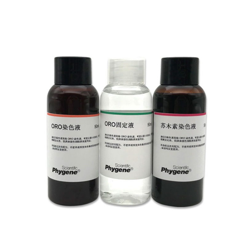 油红o染色液-改良型 oil red o 脂肪染色试剂盒 [ph1226 phygene] 3x