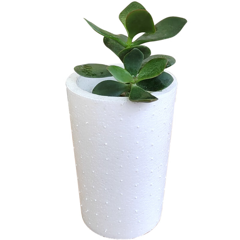 钧道汇阳台种菜神器家用长方形泡沫箱子花盆 家庭专用的阳台楼顶种菜