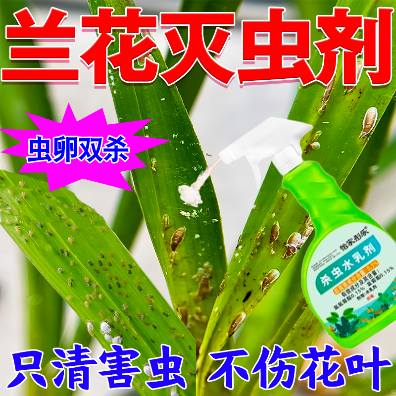 穆淳傲兰花杀虫剂喷雾专用药除虫药防虫土壤驱虫盆栽介壳蚧壳虫蚜虫