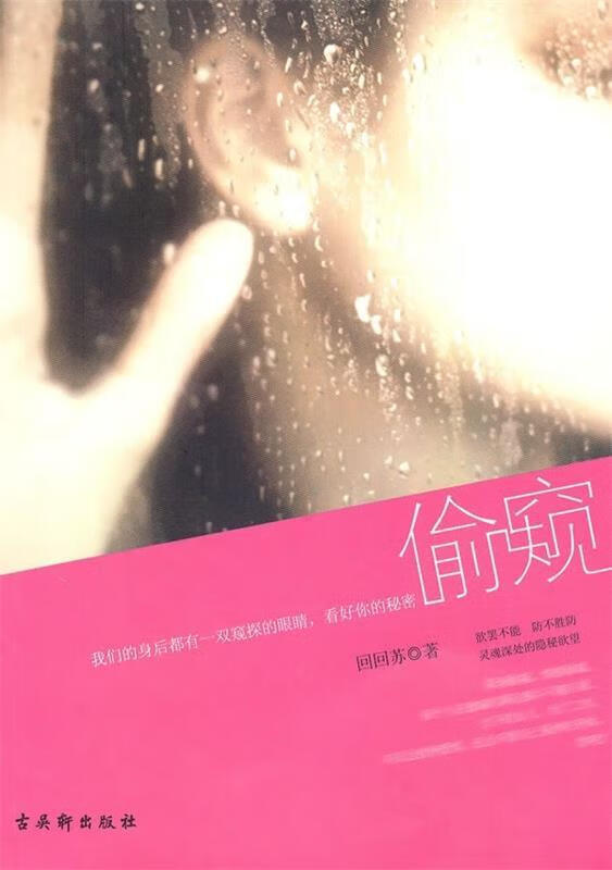 偷窥【好书,下单速发】