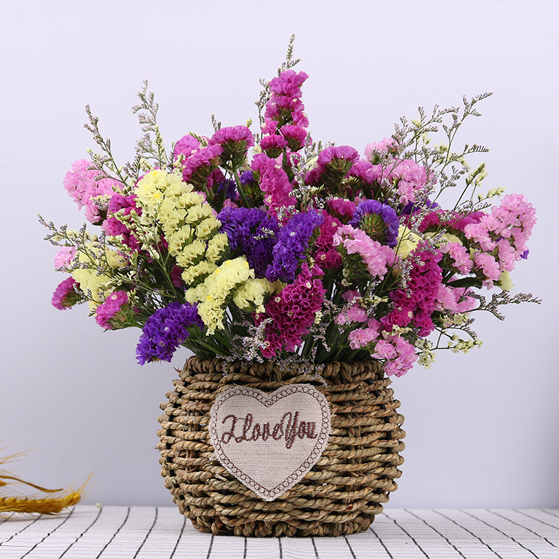 蔓缀 云南勿忘我真花干花花束家庭家居装饰天然花晾晒情人草水晶花sn