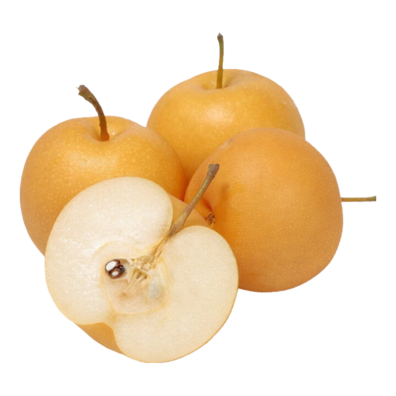 ������ �Ĵ�Բ����5��װ ����180g+  