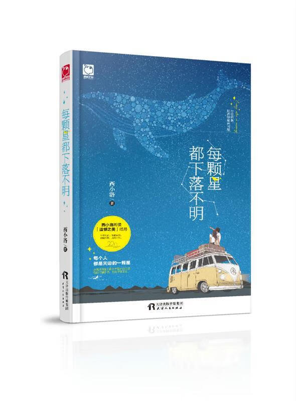每颗星都下落不明 西小洛 天津人民出版社