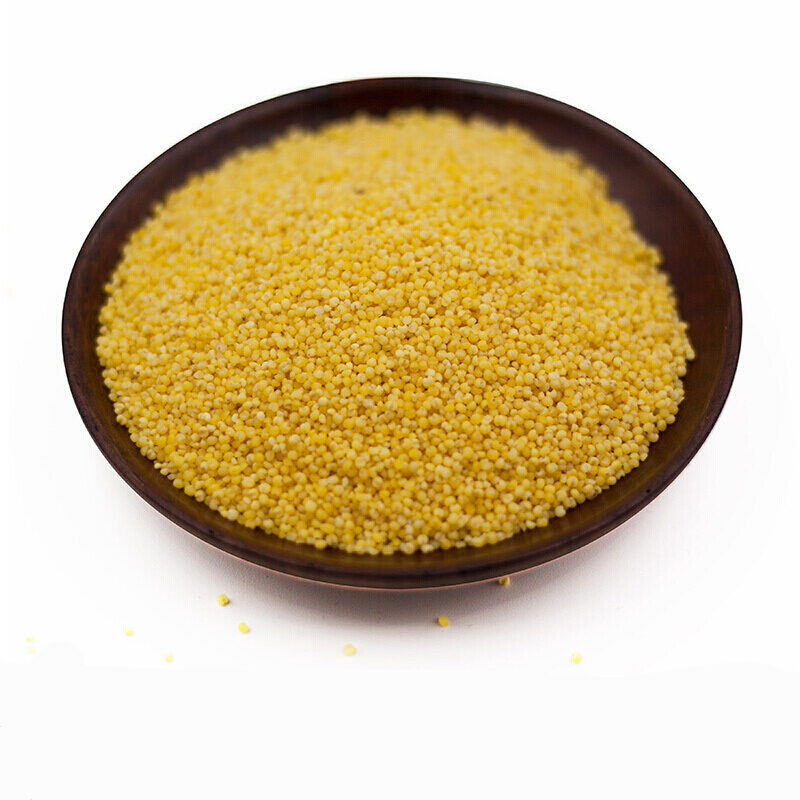 虎钢馋东北黄小米小黄米秋收新米煮粥小米五谷杂粮500