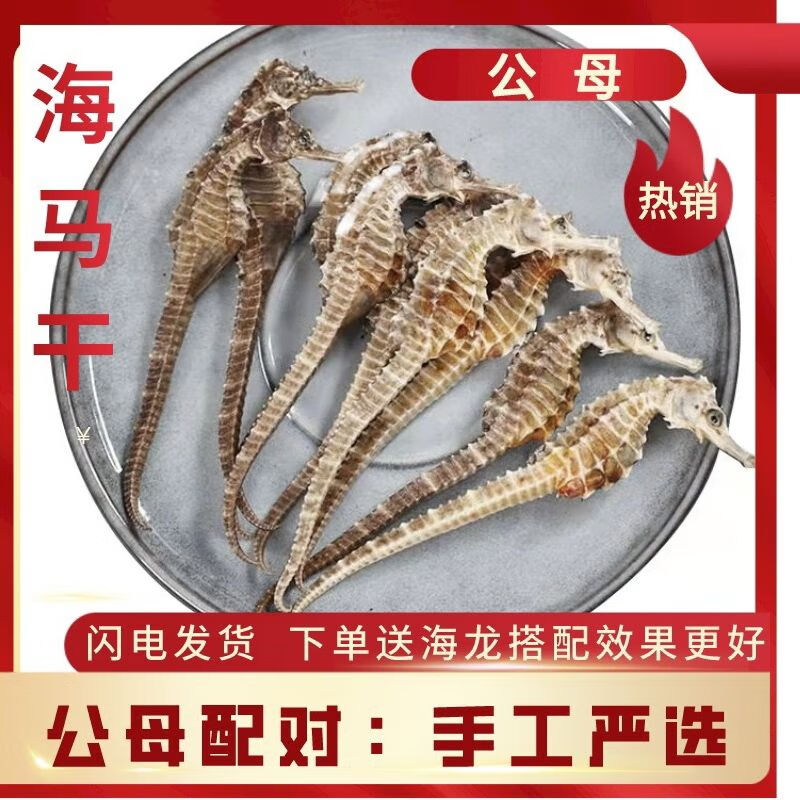 精选中药海马中药材干货一对大海马泡酒材料一公一母正宗精选煲汤