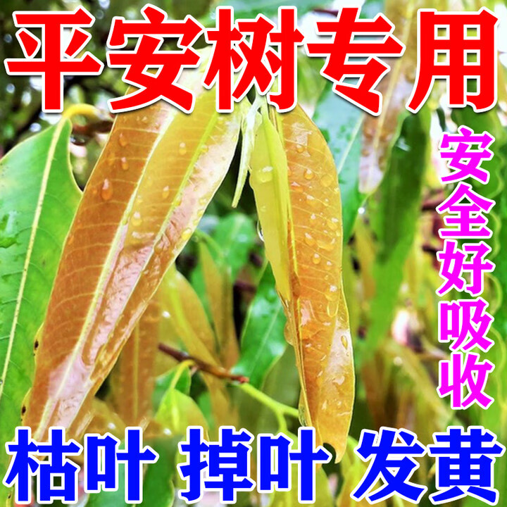 平安树营养液专用肥料叶子发黄干尖黄叶炭疽病杀菌剂通用型营养液 一瓶装 京东折扣/优惠券