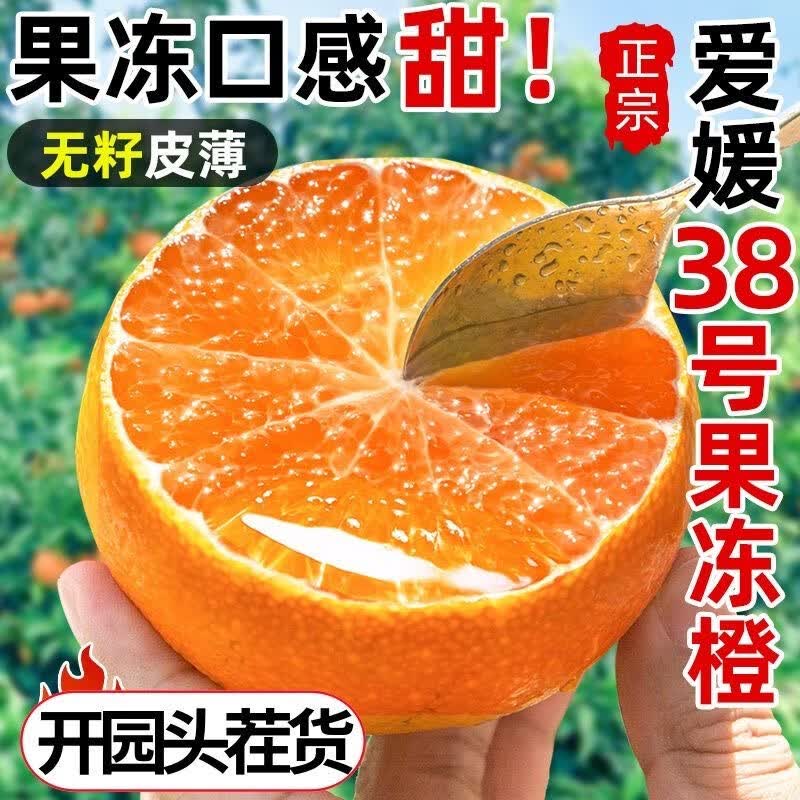 正宗爱媛38号果冻橙当季手剥甜橙蜜桔柑橘新鲜现摘孕妇水果 3斤 50-60mm尝鲜小果