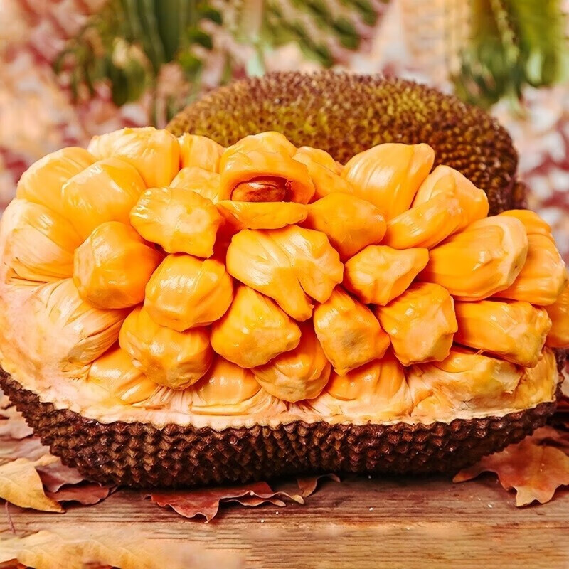 昕风尚现货海南红肉菠萝蜜整个菠萝蜜红心热带水果 红肉更甜 小果6-7