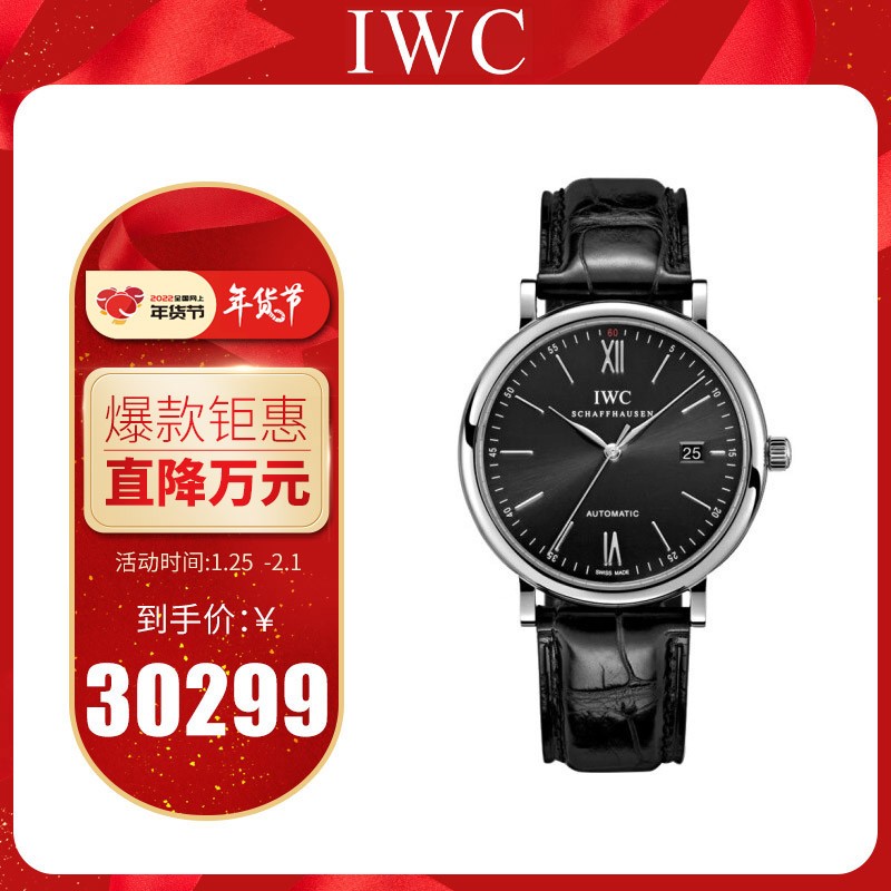 万国(IWC)瑞士手表 柏涛菲诺系列机械男表IW356502
