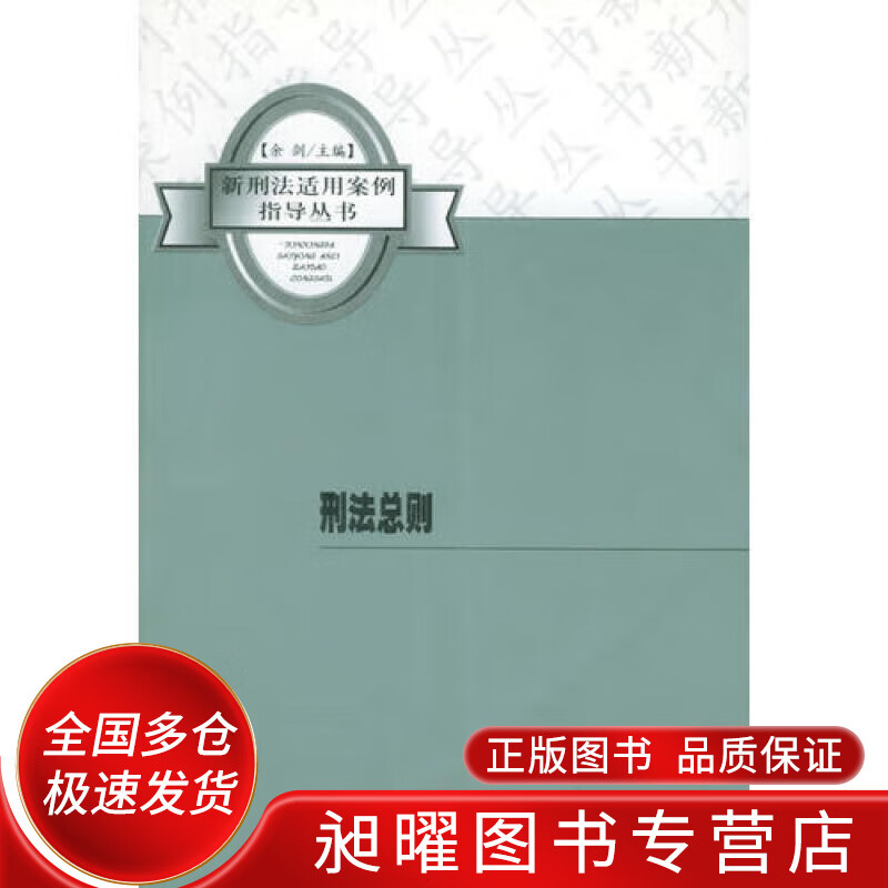 刑法总则 新刑法适用案例导丛书【正版好书,下单速发】